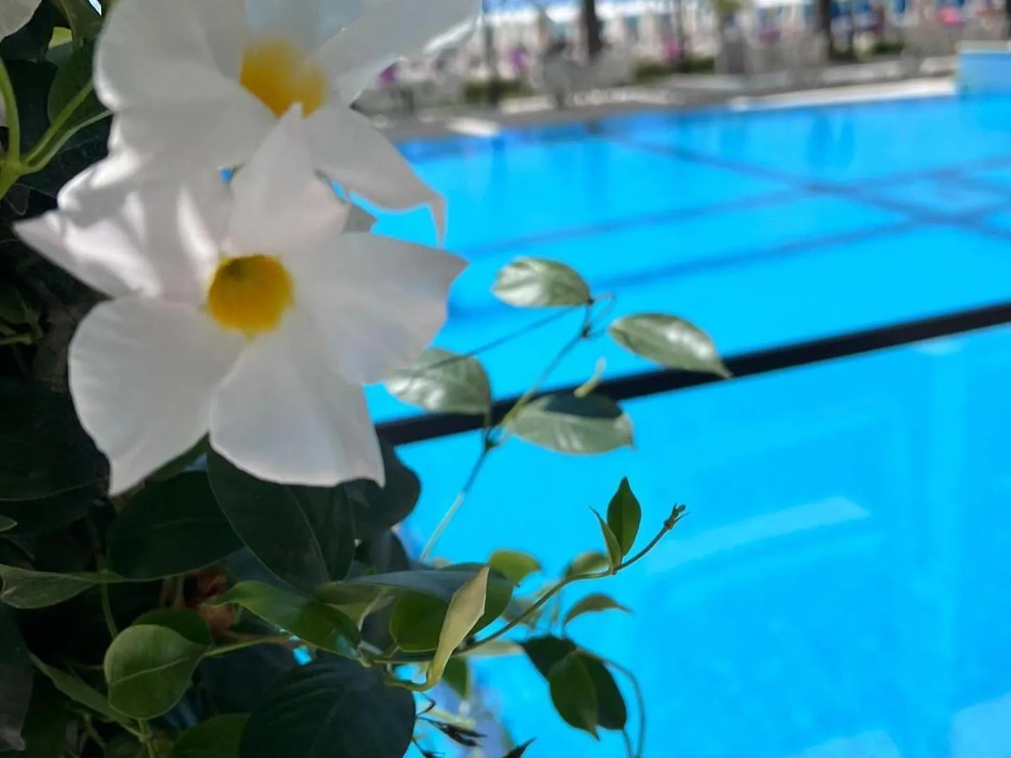 Hotel Blue Marine Škalngur